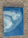 Chappell Roan Practice Cyanotype